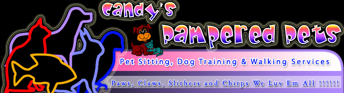 Candy's Pampered Pets, Pet Sitting and Dog Walking