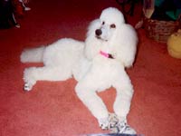 Gabby
